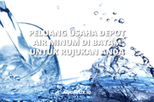 Peluang Usaha Depot Air Minum di Batam untuk Rujukan Anda
